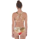 Golden paint Criss Cross Bikini Set View2