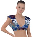 Grateful-dead-ahead-of-their-time Plunge Frill Sleeve Bikini Top View1