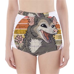 Possum  High-waisted Bikini Bottoms by Valentinaart