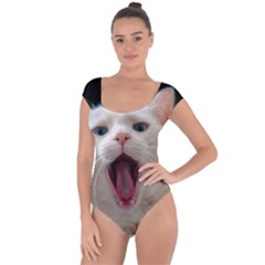 Wow Kitty Cat From Fonebook Short Sleeve Leotard  by 2853937