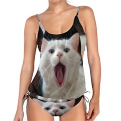 Wow Kitty Cat From Fonebook Tankini Set by 2853937