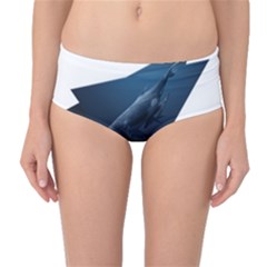 Whales In Deep Ocean Mid-waist Bikini Bottoms by goljakoff