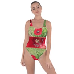 Photos Collage Coquelicots Bring Sexy Back Swimsuit by kcreatif