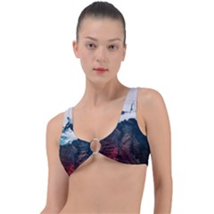 Blue Whale In The Clouds Ring Detail Bikini Top by goljakoff