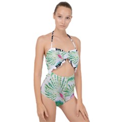  Palm Trees By Traci K Scallop Top Cut Out Swimsuit by tracikcollection