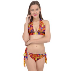 Sun & Water Tie It Up Bikini Set by LW41021