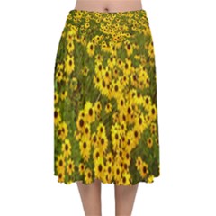Daisy May Velvet Flared Midi Skirt by LW323