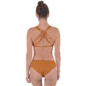 Alloy Orange Criss Cross Bikini Set View2