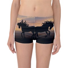 Evening Horses Reversible Boyleg Bikini Bottoms by LW323