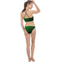 Zappwaits-green Racer Front Bikini Set View2