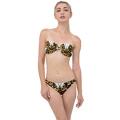 Bigcat Butterfly Classic Bandeau Bikini Set by IIPhotographyAndDesigns