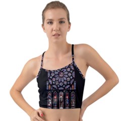 Chartres-cathedral-notre-dame-de-paris-amiens-cath-stained-glass Mini Tank Bikini Top by Sudhe