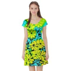 Chrysanthemums Short Sleeve Skater Dress by Hostory