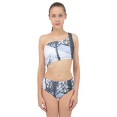 Winter Forest Spliced Up Two Piece Swimsuit by SomethingForEveryone
