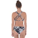 Oh, Bruce Criss Cross Bikini Set View2