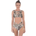 Luxury Snake Print Bandaged Up Bikini Set  View1