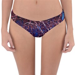 Autumn Fractal Forest Background Reversible Hipster Bikini Bottoms by Amaryn4rt