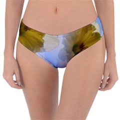Triple Vision Reversible Classic Bikini Bottoms by thedaffodilstore