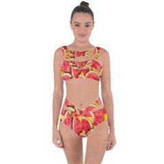 Watermelon Bandaged Up Bikini Set  by artworkshop