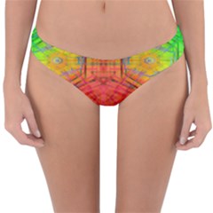 Hexafusion Reversible Hipster Bikini Bottoms by Thespacecampers