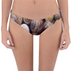Snail Shells Pattern Arianta Arbustorum Reversible Hipster Bikini Bottoms by artworkshop