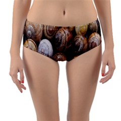 Snail Shells Pattern Arianta Arbustorum Reversible Mid-waist Bikini Bottoms by artworkshop