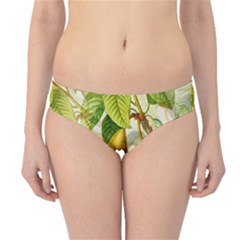 Pear Fruit Tree Organic Pattern Hipster Bikini Bottoms by Wegoenart