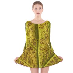 Leaf Structure Texture Background Long Sleeve Velvet Skater Dress