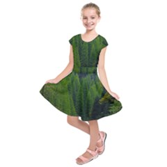 Forest Scenery Nature Trees Woods Kids  Short Sleeve Dress by danenraven