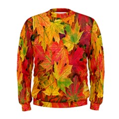 Autumn Background Maple Leaves Men s Sweatshirt by artworkshop