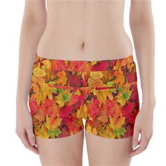 Autumn Background Maple Leaves Boyleg Bikini Wrap Bottoms by artworkshop