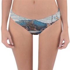 Calm Day On Lake Garda Reversible Hipster Bikini Bottoms by ConteMonfrey