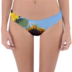 Sunflower Flower Yellow Reversible Hipster Bikini Bottoms by artworkshop