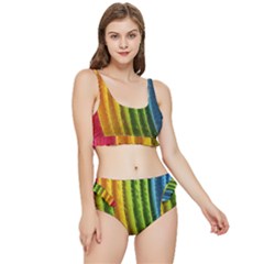  Colorful Illustrations Frilly Bikini Set