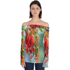 Gathering Sping Flowers Wallpapers Off Shoulder Long Sleeve Top