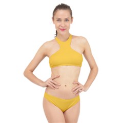 Aspen Gold	 - 	high Neck Bikini Set by ColorfulSwimWear