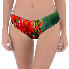 Gathering Sping Flowers  Reversible Classic Bikini Bottoms by artworkshop