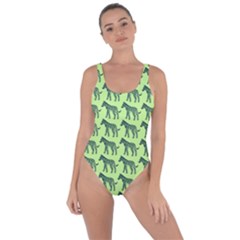 Pattern 134 Bring Sexy Back Swimsuit by GardenOfOphir