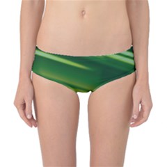 Green-01 Classic Bikini Bottoms by nateshop