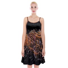 Sea Anemone Coral Underwater Ocean Sea Water Spaghetti Strap Velvet Dress by pakminggu