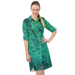 Green And Blue Peafowl Peacock Animal Color Brightly Colored Long Sleeve Mini Shirt Dress