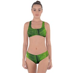 Green-leaf-plant-freshness-color Criss Cross Bikini Set by Bedest