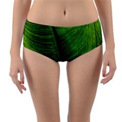 Green-leaf-plant-freshness-color Reversible Mid-waist Bikini Bottoms