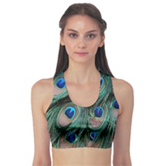 Peacock-feathers,blue2 Fitness Sports Bra by nateshop