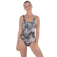 Climbing Plant At Outdoor Wall Bring Sexy Back Swimsuit by dflcprintsclothing