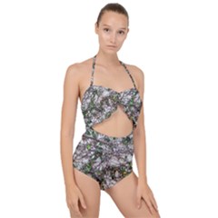 Climbing Plant At Outdoor Wall Scallop Top Cut Out Swimsuit by dflcprintsclothing