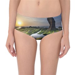 Coast Algae Sea Beach Shore Mid-waist Bikini Bottoms by Sarkoni