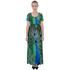 Peafowl Peacock High Waist Short Sleeve Maxi Dress by Sarkoni
