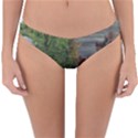 Landscape Summer Fall Colors Mill Reversible Hipster Bikini Bottoms View1