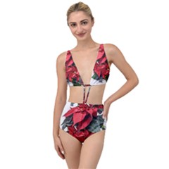 Star Of Bethlehem Star Red Tied Up Two Piece Swimsuit by Amaryn4rt